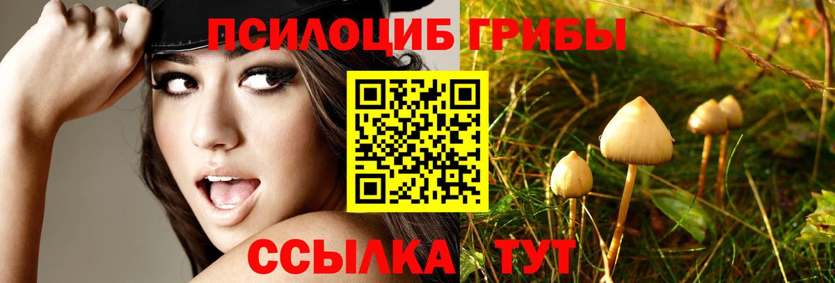 Псилоцибиновые грибы MAGIC MUSHROOMS  Вход с VPN  Новочебоксарск 